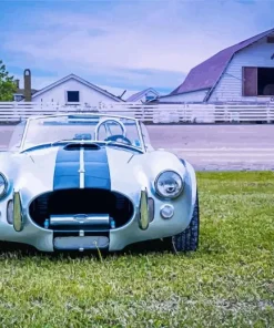 blue cobra car Diamond Paints