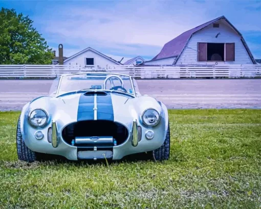blue cobra car Diamond Paints