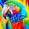 cool geometric parrot Diamond Paints