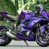 purple motorcycle Diamond With Numbers