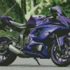 purple motorcycle Diamond With Numbers