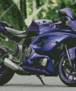 purple motorcycle Diamond With Numbers