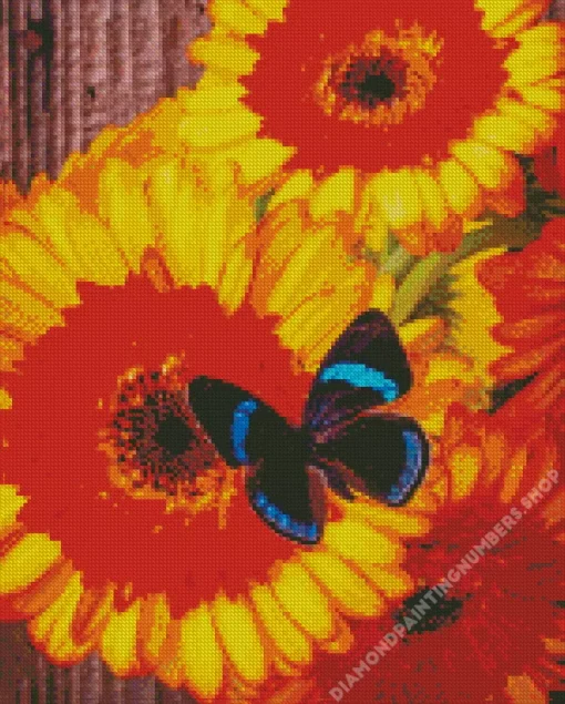 Blue And Black Butterfly On Gerbera Diamond Paints