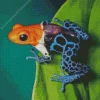 The blue and orange frog Diamond Paints
