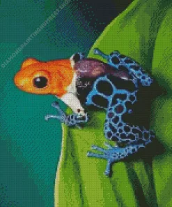 The blue and orange frog Diamond Paints