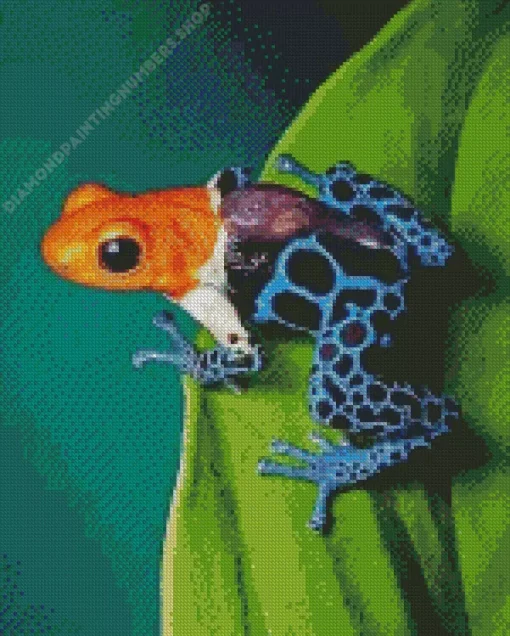 The blue and orange frog Diamond Paints