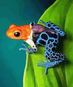 The blue and orange frog Diamond Paints
