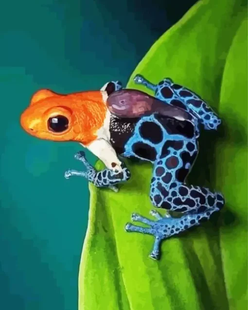 The blue and orange frog Diamond Paints