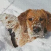 aesthetic golden retriever in the snow Diamond Paints