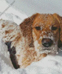 aesthetic golden retriever in the snow Diamond Paints