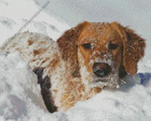 aesthetic golden retriever in the snow Diamond Paints