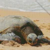 beach with turtle Diamond With Numbers