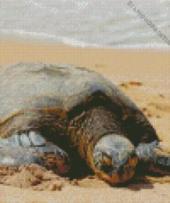 beach with turtle Diamond With Numbers