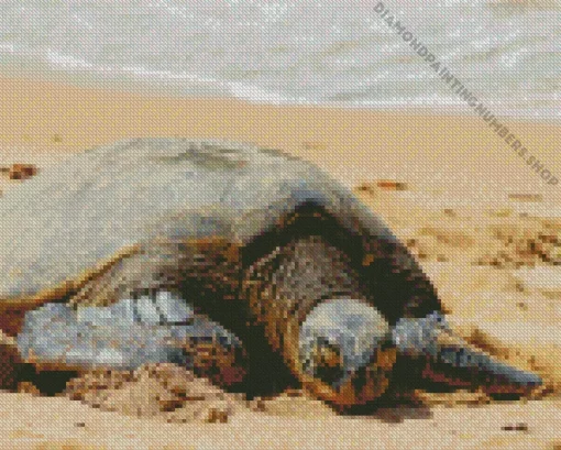 beach with turtle Diamond With Numbers