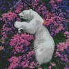 bear and flowers Diamond Paints