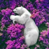 bear and flowers Diamond Paints