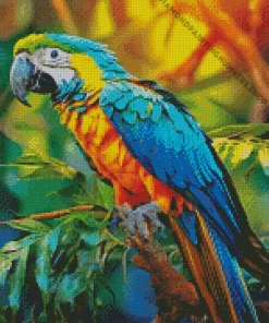 blue and gold macaw bird Diamond Paints