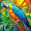 blue and gold macaw bird Diamond Paints