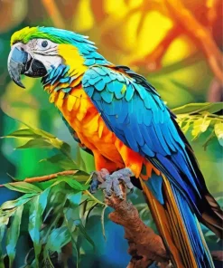 blue and gold macaw bird Diamond Paints