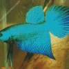 blue and green betta fish Diamond Paints