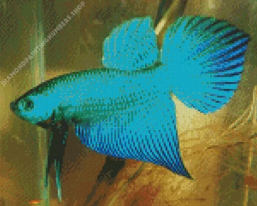 blue and green betta fish Diamond Paints