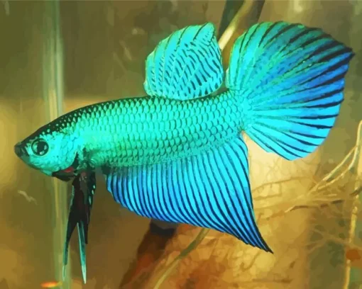 blue and green betta fish Diamond Paints