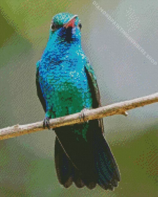 blue and green hummingbird Diamond Paints