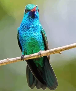 blue and green hummingbird Diamond Paints