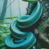 blue and green pit vipers Diamond Paints