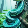 blue and green pit vipers Diamond Paints