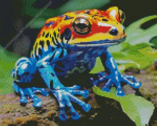 blue and orange frog Diamond With Numbers