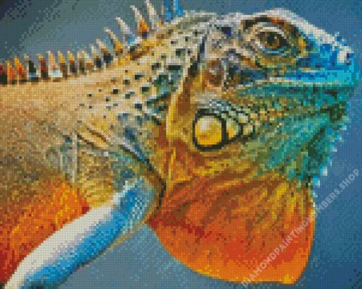 blue and orange iguana Diamond With Numbers
