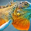 blue and orange iguana Diamond With Numbers