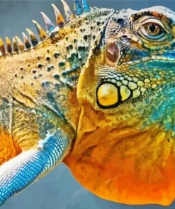 blue and orange iguana Diamond With Numbers