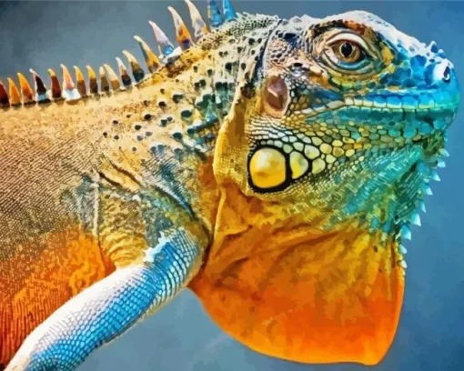 blue and orange iguana Diamond With Numbers