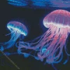 blue and pink jellyfish underwater Diamond Paintings