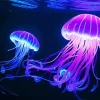 blue and pink jellyfish underwater Diamond Paintings