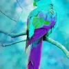 blue and purple bird Diamond Paintings