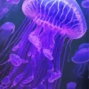 blue and purple jellyfish Diamond Paintings