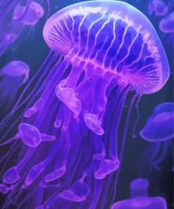 blue and purple jellyfish Diamond Paintings