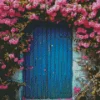 blue door flowers Diamond Paintings