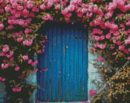 blue door flowers Diamond Paintings
