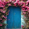 blue door flowers Diamond Paintings
