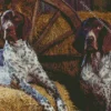blue english coonhounds Diamond Paintings
