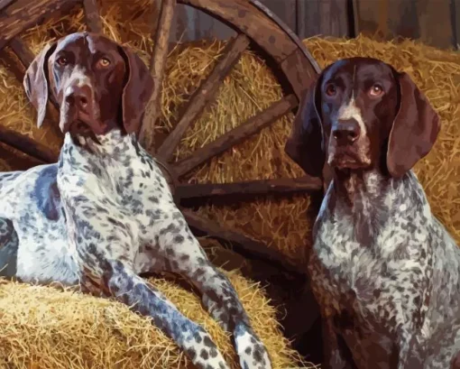 blue english coonhounds Diamond Paintings
