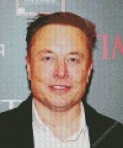 elon musk Diamond With Numbers