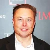 elon musk Diamond With Numbers