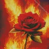 flame rose Diamond Paints