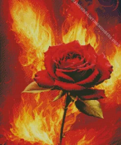 flame rose Diamond Paints