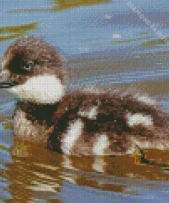 goldeneye duckling Diamond With Numbers